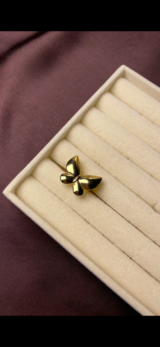 Premium Adjustable Stainless Steel Ring