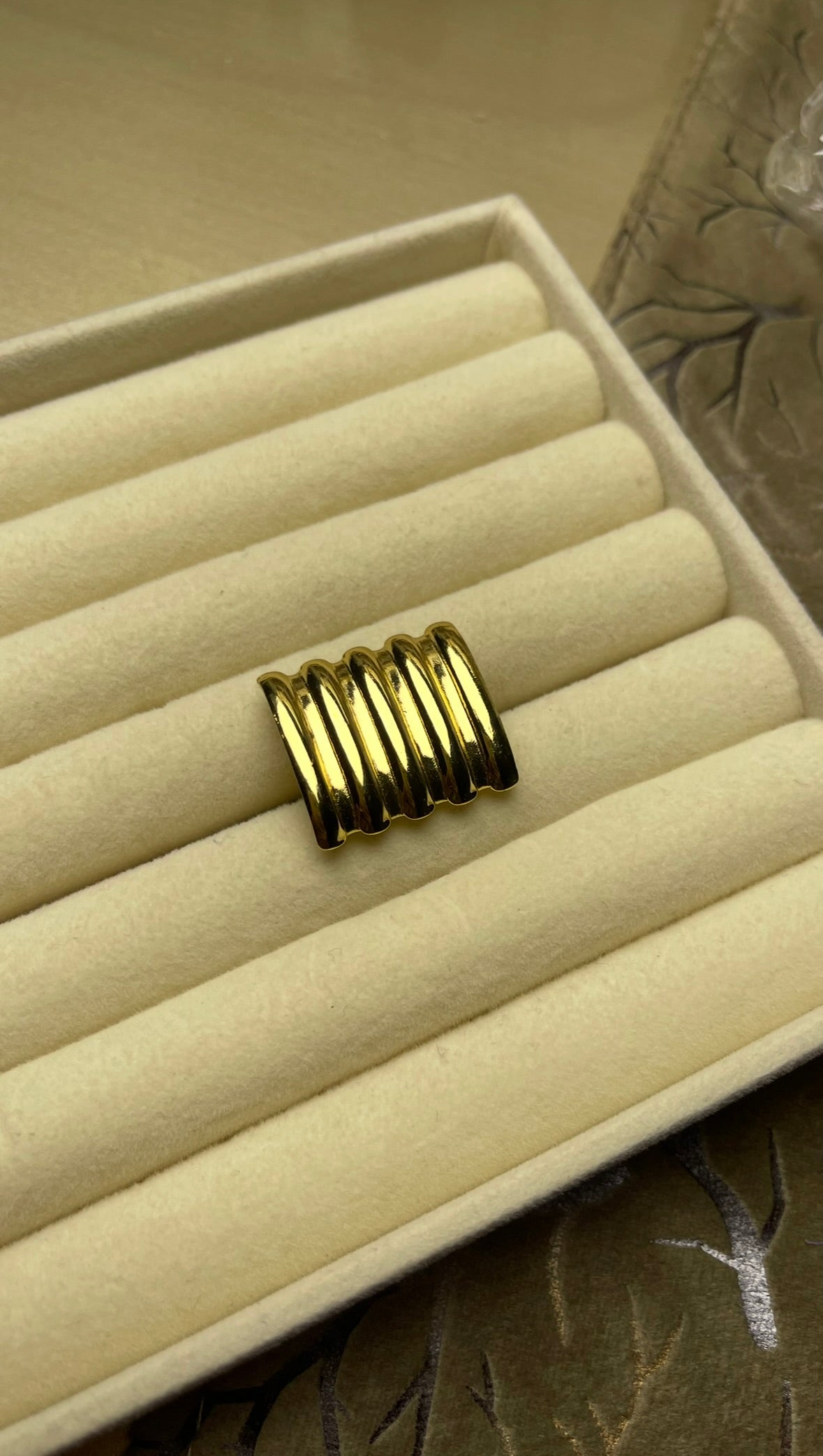 Premium Adjustable Stainless Steel Ring