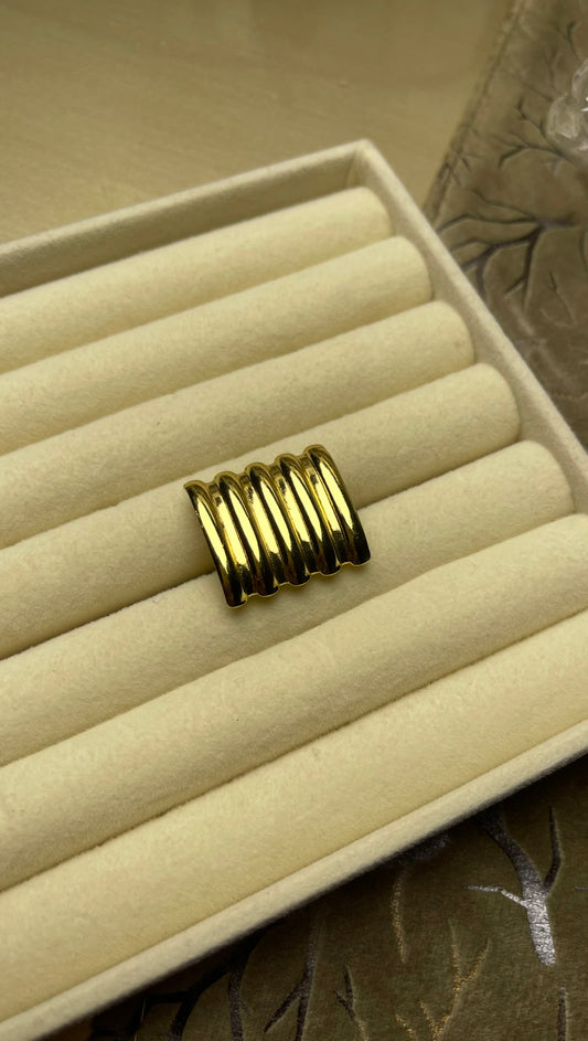 Premium Adjustable Stainless Steel Ring