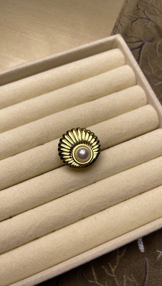 Premium Adjustable Stainless Steel Ring