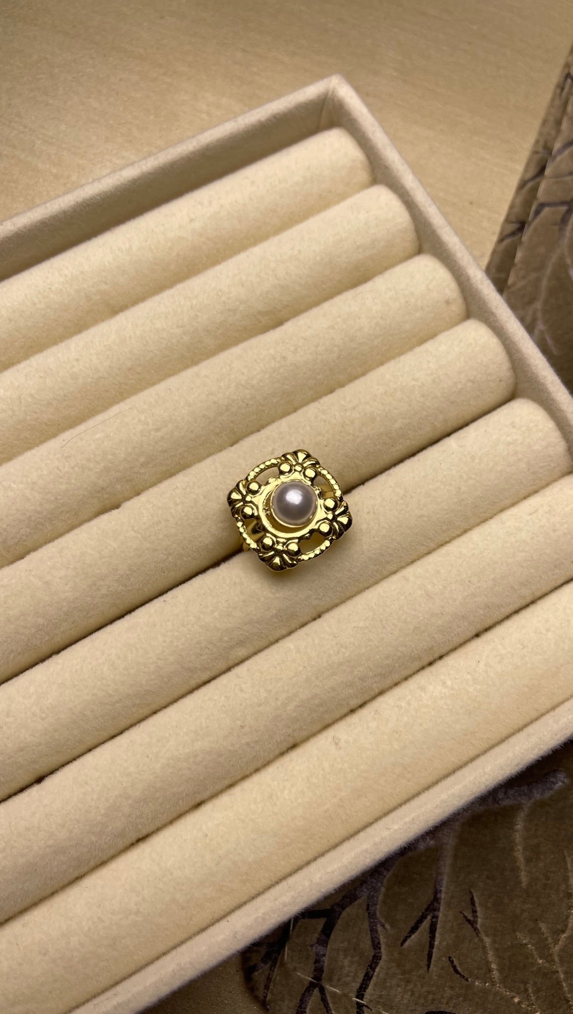 Premium Adjustable Stainless Steel Ring