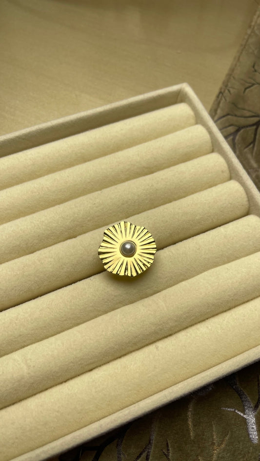 Premium Adjustable Stainless Steel Ring